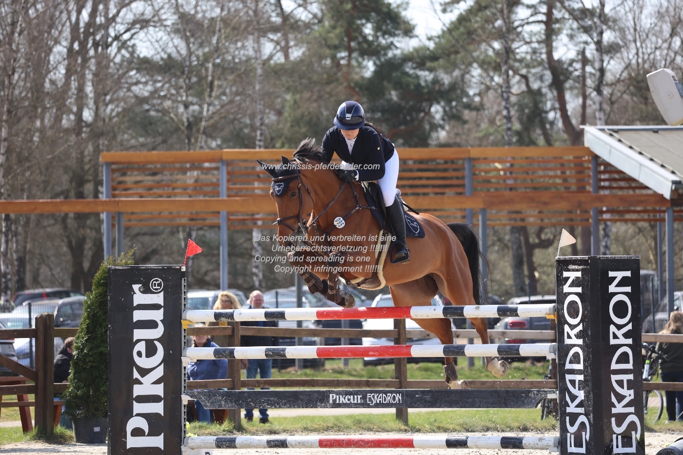 Preview jasmin hille mit carepetit PS IMG_1394.jpg